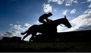 28 April 2021; Kilcruit, with Derek O'Connor up, on their way to winning the ITM Champion INH Flat Race during day two of the Punchestown Festival at Punchestown Racecourse in Kildare. Photo by David Fitzgerald/Sportsfile