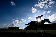 28 April 2021; Sir Gerhard, with Patrick Mullins up, on their way to finishing third in the ITM Champion INH Flat Race during day two of the Punchestown Festival at Punchestown Racecourse in Kildare. Photo by David Fitzgerald/Sportsfile