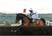 28 April 2021; Foxy Jacks, with Jonathan Moore up, jumps the last on their way to winning the Guinness Handicap Steeplechase during day two of the Punchestown Festival at Punchestown Racecourse in Kildare. Photo by David Fitzgerald/Sportsfile