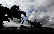 29 April 2021; Runners and riders clear the last on their first time round during the Specialist Joinery Group Handicap Hurdle during day three of the Punchestown Festival at Punchestown Racecourse in Kildare. Photo by Harry Murphy/Sportsfile