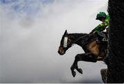 29 April 2021; Sully D'oc Aa, with Simon Torrens up, jumps the last on their way to winning the Pigsback.com Handicap Steeplechase during day three of the Punchestown Festival at Punchestown Racecourse in Kildare. Photo by Harry Murphy/Sportsfile