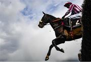 29 April 2021; Paloma Blue, with Hugh Morgan up, jumps the last during the Pigsback.com Handicap Steeplechase on day three of the Punchestown Festival at Punchestown Racecourse in Kildare. Photo by Harry Murphy/Sportsfile