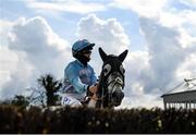 29 April 2021; Jockey Rachael Blackmore and Raya Time before the Pigsback.com Handicap Steeplechase during day three of the Punchestown Festival at Punchestown Racecourse in Kildare. Photo by Harry Murphy/Sportsfile