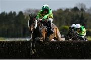 29 April 2021; Sully D'oc Aa, with Simon Torrens up, jumps the last on their way to winning the Pigsback.com Handicap Steeplechase during day three of the Punchestown Festival at Punchestown Racecourse in Kildare. Photo by Harry Murphy/Sportsfile