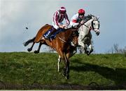 29 April 2021; Space Cadet, left, with Ricky Doyle up, and Some Neck, with Ben Harvey up, jump Ruby's Double during the Mongey Communications La Touche Cup Cross Country Steeplechase on day three of the Punchestown Festival at Punchestown Racecourse in Kildare. Photo by Harry Murphy/Sportsfile