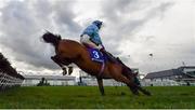 29 April 2021; Global Equity, with JJ Slevin up, narrowly avoids falling at the last on their way to finishing second in the Close Brothers Mares Novice Hurdle during day three of the Punchestown Festival at Punchestown Racecourse in Kildare. Photo by Harry Murphy/Sportsfile