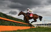 30 April 2021; Antey, with Danny Mullins up, jumps the last during the EMS Copiers Novice Handicap Steeplechase during day four of the Punchestown Festival at Punchestown Racecourse in Kildare. Photo by Harry Murphy/Sportsfile