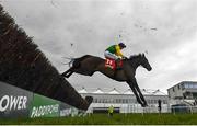 30 April 2021; Rapid Response, with Sean O'Keeffe up, jumps the last first time round on their way to winning the Hanlon Concrete Irish EBF Glencarraig Lady Francis Flood Mares Handicap Steeplechase during day four of the Punchestown Festival at Punchestown Racecourse in Kildare. Photo by Harry Murphy/Sportsfile