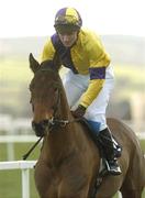 8 February 2004; High Prospect, with Jim Cullen up, canters to the start for the T.C. Matthews/Brintons Carpet Handicap Hurdle, Leopardstown Racecourse, Co. Dublin. Picture credit; Pat Murphy / SPORTSFILE *EDI*