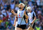 7 July 2013; Liam Rushe, Dublin, celebrates at the end of the game. Leinster GAA Hurling Senior Championship Final, Galway v Dublin, Croke Park, Dublin. Picture credit: Ray McManus / SPORTSFILE