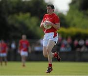 29 June 2013; Adrian Reid, Louth. GAA Football All-Ireland Senior Championship, Round 1, Louth v Antrim, County Grounds, Drogheda, Co. Louth. Picture credit: Dáire Brennan / SPORTSFILE
