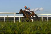 30 April 2021; My Mate Mozzie with Patrick Mullins up, on their way to winning the RACE during day four of the Punchestown Festival at Punchestown Racecourse in Kildare. Photo by Harry Murphy/Sportsfile