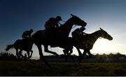 30 April 2021; A general view of runners and riders during the Avison Young Flat Race during day four of the Punchestown Festival at Punchestown Racecourse in Kildare. Photo by Harry Murphy/Sportsfile Photo by Harry Murphy/Sportsfile