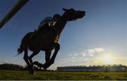 30 April 2021; My Mate Mozzie with Patrick Mullins up, on their way to winning the RACE during day four of the Punchestown Festival at Punchestown Racecourse in Kildare. Photo by Harry Murphy/Sportsfile