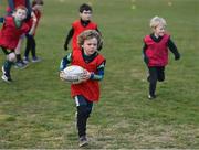 2 May 2021; Action during Seapoint Minis rugby training at Seapoint RFC in Dublin. Photo by Ramsey Cardy/Sportsfile