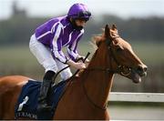 3 May 2021; Queen's Speech, with Ryan Moore up, go to post before the Coolmore Stud Circus Maximus Irish EBF Athasi Stakes at The Curragh Racecourse in Kildare. Photo by Harry Murphy/Sportsfile