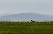 3 May 2021; Jockey Andrew Slattery walks his ride Twilight Man to the start of the Sentinel Ireland Handicap at The Curragh Racecourse in Kildare. Photo by Harry Murphy/Sportsfile