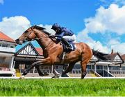 7 May 2021; Armory, with Ryan Moore up, on their way to winning The Melodi Media Huxley Stakes at Chester Racecourse, England. Photo by Hugh Routledge/Sportsfile
