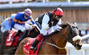 7 May 2021; Falcon Eight, with Frankie Dettori up, on their way to winning The tote+ Chester Cup Handicap Stakes at Chester Racecourse, England. Photo by Hugh Routledge/Sportsfile