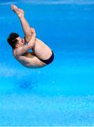 14 May 2021; Oliver Dingley of Ireland competing in the 3m springboard dive event during day 5 of the LEN European Aquatics Championships at the Duna Arena in Budapest, Hungary. Photo by Andre Weening/Sportsfile