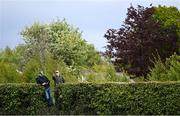 15 May 2021; Supporters watch on from a gap in a hedge outside the ground during the Allianz Football League Division 4 North Round 1 match between Louth and Antrim at Geraldines Club in Haggardstown, Louth. Photo by Ramsey Cardy/Sportsfile