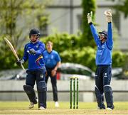 25 May 2021; Wicketkeeper Lorcan Tucker of Leinster Lightning celebrates after Nathan McGuire of North West Warriors, left, was run out during the Cricket Ireland InterProvincial Cup 2021 match between North West Warriors and Leinster Lightning at Eglinton Cricket Club in Derry. Photo by David Fitzgerald/Sportsfile