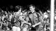 2 June 1991; Dublin goalkeeper John O'Leary shakes hands with Bernard Flynn of Meath during the Leinster Senior Football Championship Preliminary Round match between Dublin and Meath at Croke Park in Dublin. Photo by Ray McManus/Sportsfile