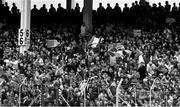 2 June 1991; Meath supporters during the Leinster Senior Football Championship Preliminary Round match between Dublin and Meath at Croke Park in Dublin. Photo by Ray McManus/Sportsfile