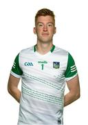 5 June 2021; Donal O'Sullivan during a Limerick football squad portrait session at LIT Gaelic Grounds in Limerick. Photo by Diarmuid Greene/Sportsfile