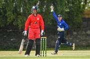 19 June 2021; North West Warriors' wicketkeeper Stephen Doheny appeals for a wicket during the Cricket Ireland InterProvincial Trophy 2021 match between Munster Reds and North West Warriors at Pembroke Cricket Club in Dublin. Photo by Seb Daly/Sportsfile