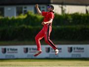 20 June 2021; Josh Manley of Munster Reds celebrates catching out Harry Tector of Northern Knights during the Cricket Ireland InterProvincial Trophy 2021 match between Northern Knights and Munster Reds at Pembroke Cricket Club in Dublin. Photo by Harry Murphy/Sportsfile