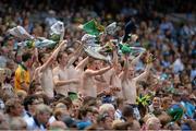 14 July 2013; Meath supporters cheer on their team against Dublin. Leinster GAA Football Senior Championship Final, Meath v Dublin, Croke Park, Dublin. Picture credit: Matt Browne / SPORTSFILE
