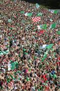14 July 2013; Supporters before the start of the game. Munster GAA Hurling Senior Championship Final, Limerick v Cork, Gaelic Grounds, Limerick. Picture credit: Diarmuid Greene / SPORTSFILE
