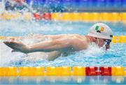 25 June 2021; Cillian Melly of National Centre Limerick competing in the 400IM where he set an Irish Senior Record with a time of 4.23.22 during day two of the 2021 Swim Ireland Performance Meet at the Sport Ireland National Aquatic Centre at the Sport Ireland Campus in Dublin. Photo by David Kiberd/Sportsfile