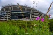 26 June 2021; A general view of Croke Park prior to the Lidl Ladies Football National League Division 1 Final match between Cork and Dublin at Croke Park in Dublin. Photo by Ramsey Cardy/Sportsfile
