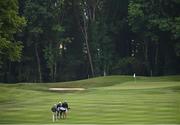 29 June 2021; Golfers make their way up the first fairway during a practice round before the Dubai Duty Free Irish Open Golf Championship at Mount Juliet in Thomastown, Kilkenny. Photo by Ramsey Cardy/Sportsfile