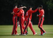 30 June 2021; Munster Reds players celebrate following the Cricket Ireland InterProvincial Cup 2021 match between Northern Knights and Munster Reds at Bready Cricket Club in Stormont in Belfast. Photo by David Fitzgerald/Sportsfile