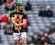 3 July 2021; Eoin Cody of Kilkenny celebrates a score by team-mate Walter Walsh during the Leinster GAA Hurling Senior Championship Semi-Final match between Kilkenny and Wexford at Croke Park in Dublin. Photo by Piaras Ó Mídheach/Sportsfile