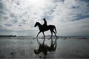 7 July 2021; Adam Caffrey on Spanish Tenor on the gallops at South Beach in Rush, Co. Dublin as trainer Ado McGuinness gears up for the iconic Galway Races Summer Festival that takes place from Monday 26th July to Sunday 1st August. Photo by David Fitzgerald/Sportsfile