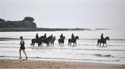 7 July 2021; Horses and riders, from left, Saltonstall with Aisling McGuinness, Tading Point with Ciara Robinson, Sir Jack Thomas with Zoe Boardman, Stellify with Owen Moss, Royal Admiral with Cian MacRedmond and Spanish Tenor with Adam Caffrey on the gallops at South Beach in Rush, Co. Dublin as trainer Ado McGuinness gears up for the iconic Galway Races Summer Festival that takes place from Monday 26th July to Sunday 1st August. Photo by David Fitzgerald/Sportsfile