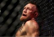 10 July 2021; Conor McGregor following his lightweight fight with Dustin Poirier during the UFC 264 event at T-Mobile Arena in Las Vegas, Nevada, USA. Photo by Thomas King/Sportsfile