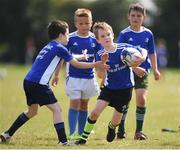 13 July 2021; Euan Petrie, age 7, in action during the Bank of Ireland Leinster Rugby Summer Camp at Greystones RFC in Greystones, Wicklow. Photo by Matt Browne/Sportsfile