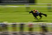17 July 2021; Swift One, with Mikey Sheehy up, on their way to winning the Dingle Whiskey Nursery Handicap at The Curragh Racecourse in Kildare. Photo by David Fitzgerald/Sportsfile