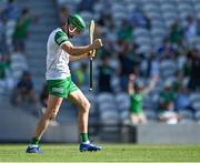 18 July 2021; Limerick goalkeeper Nickie Quaid celebrates a score during the Munster GAA Hurling Senior Championship Final match between Limerick and Tipperary at Páirc Uí Chaoimh in Cork. Photo by Piaras Ó Mídheach/Sportsfile