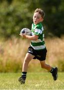 20 July 2021; Harry Quinn, age 6, in action during the Bank of Ireland Leinster Rugby Summer Camp at Balbriggan RFC in Dublin. Photo by Matt Browne/Sportsfile
