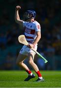 23 July 2021; Cork goalkeeper Patrick Collins celebrates his side's third goal, scored by team-mate Shane Barrett, during the GAA Hurling All-Ireland Senior Championship Round 2 match between Clare and Cork at LIT Gaelic Grounds in Limerick. Photo by Piaras Ó Mídheach/Sportsfile