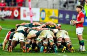 24 July 2021; Ali Price of British and Irish Lions watches the scrum during the first test of the British and Irish Lions tour match between South Africa and British and Irish Lions at Cape Town Stadium in Cape Town, South Africa. Photo by Ashley Vlotman/Sportsfile