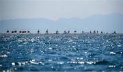 25 July 2021; A general view of the Women's Laser Radial races at the Enoshima Yacht Harbour during the 2020 Tokyo Summer Olympic Games in Tokyo, Japan. Photo by Stephen McCarthy/Sportsfile