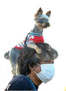 25 July 2021; A member of the public poses with his dog as he awaits to greet athletes and officials leaving Enoshima Yacht Harbour during the 2020 Tokyo Summer Olympic Games in Tokyo, Japan. Photo by Stephen McCarthy/Sportsfile