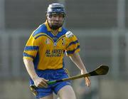 15 February 2004; Damien Hayes, Portumna. AIB All-Ireland Club Senior Hurling Championship Semi-Final, Portumna v Dunloy, St. Tighernach's Park, Clones, Co. Monaghan. Picture credit; David Maher / SPORTSFILE *EDI*